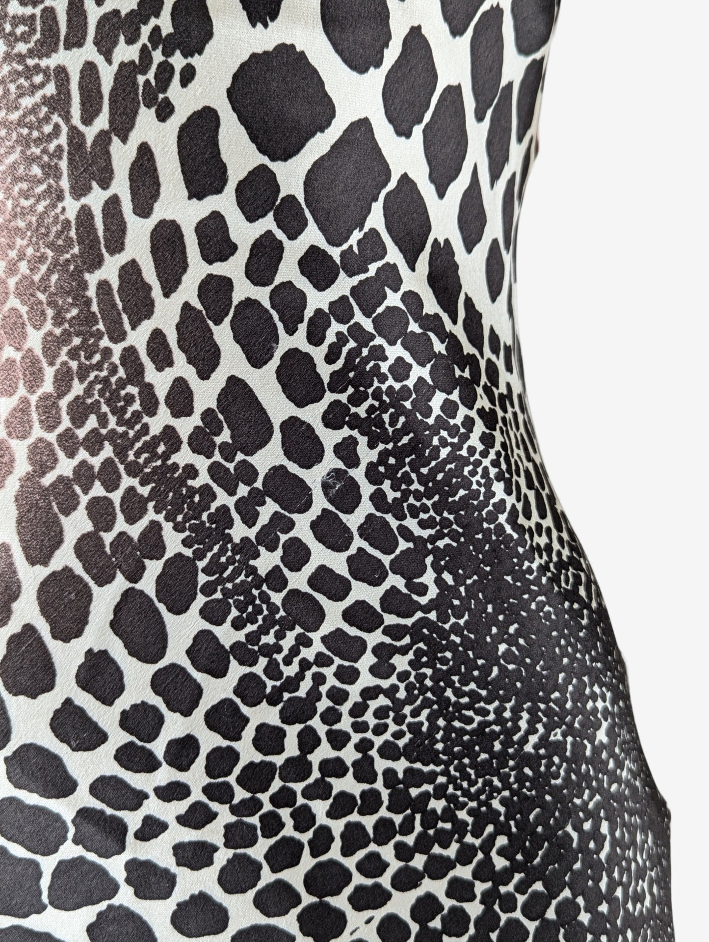 Roberto Cavalli Cheetah Print Silk Halter Dress