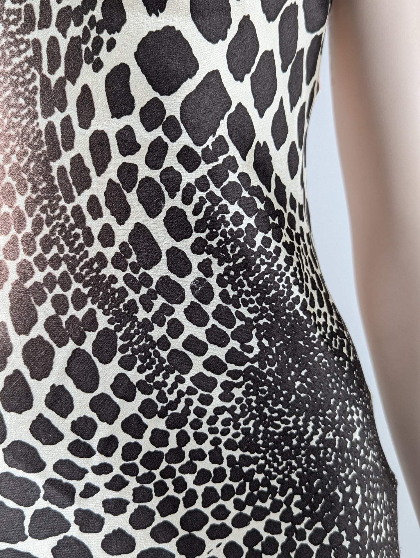 Roberto Cavalli Cheetah Print Silk Halter Dress